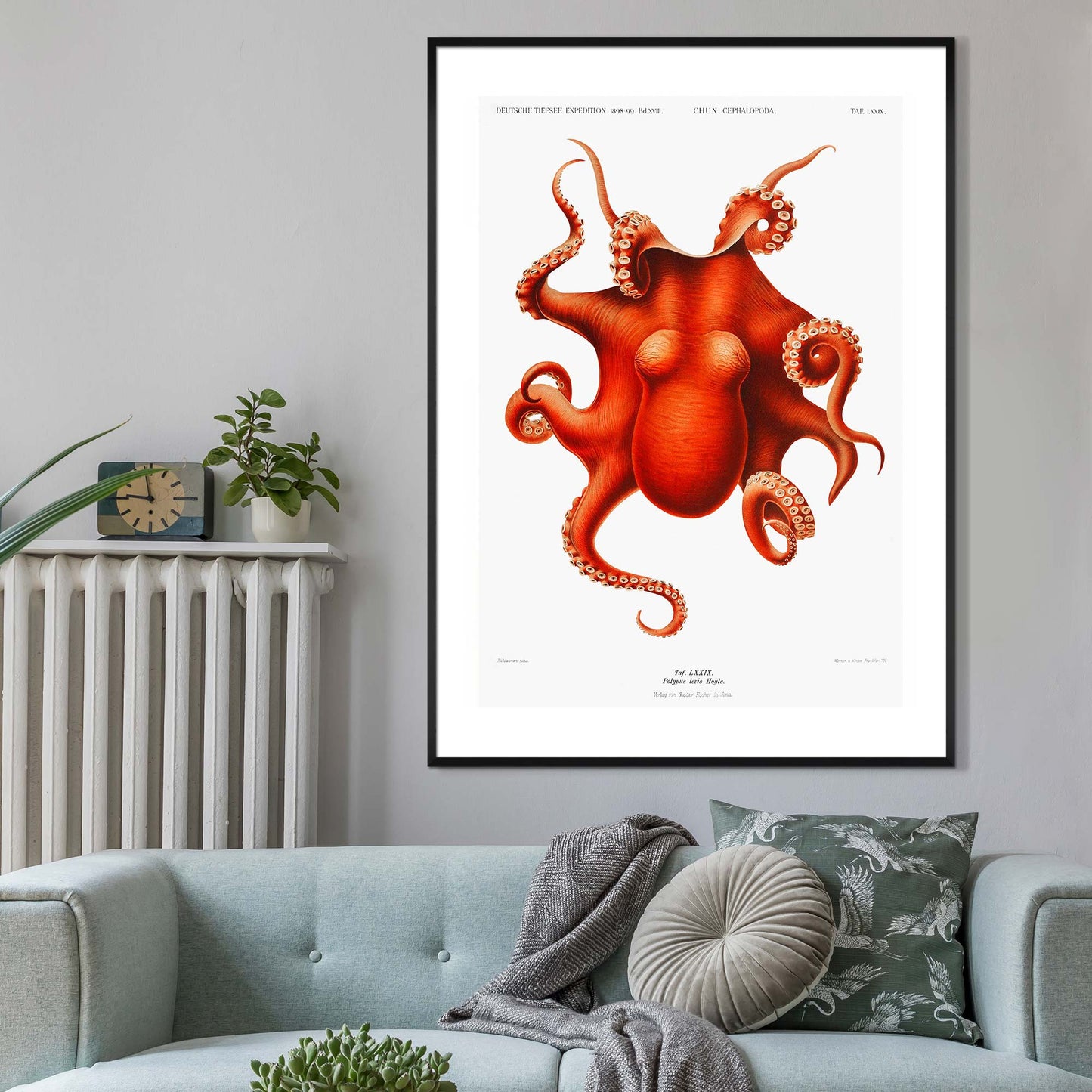 Octopus Vintage Antiker Druck
