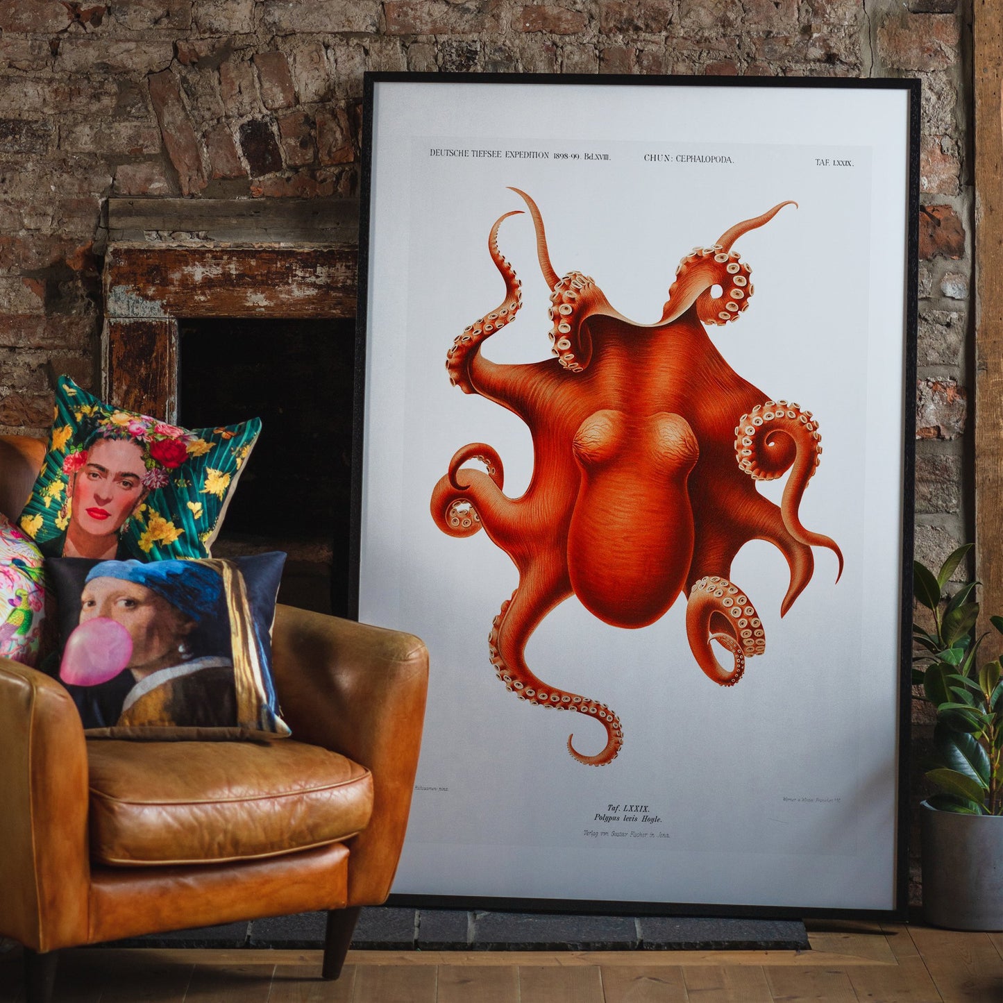 Octopus Vintage Antiker Druck